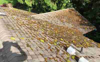 Top 5 Reasons To Get A Roof Cleaning