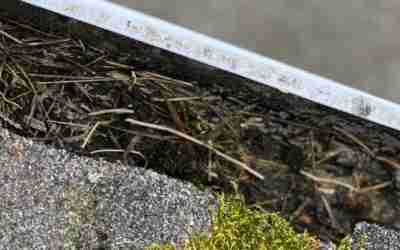 Why A Gutter Cleaning Company Saves You Money