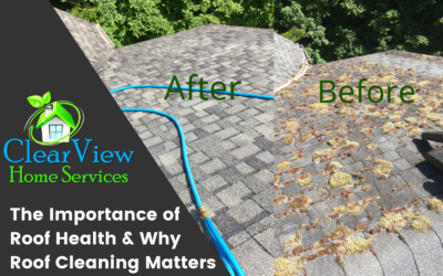 The Importance Of Roof Health & Why Roof Cleaning Matters