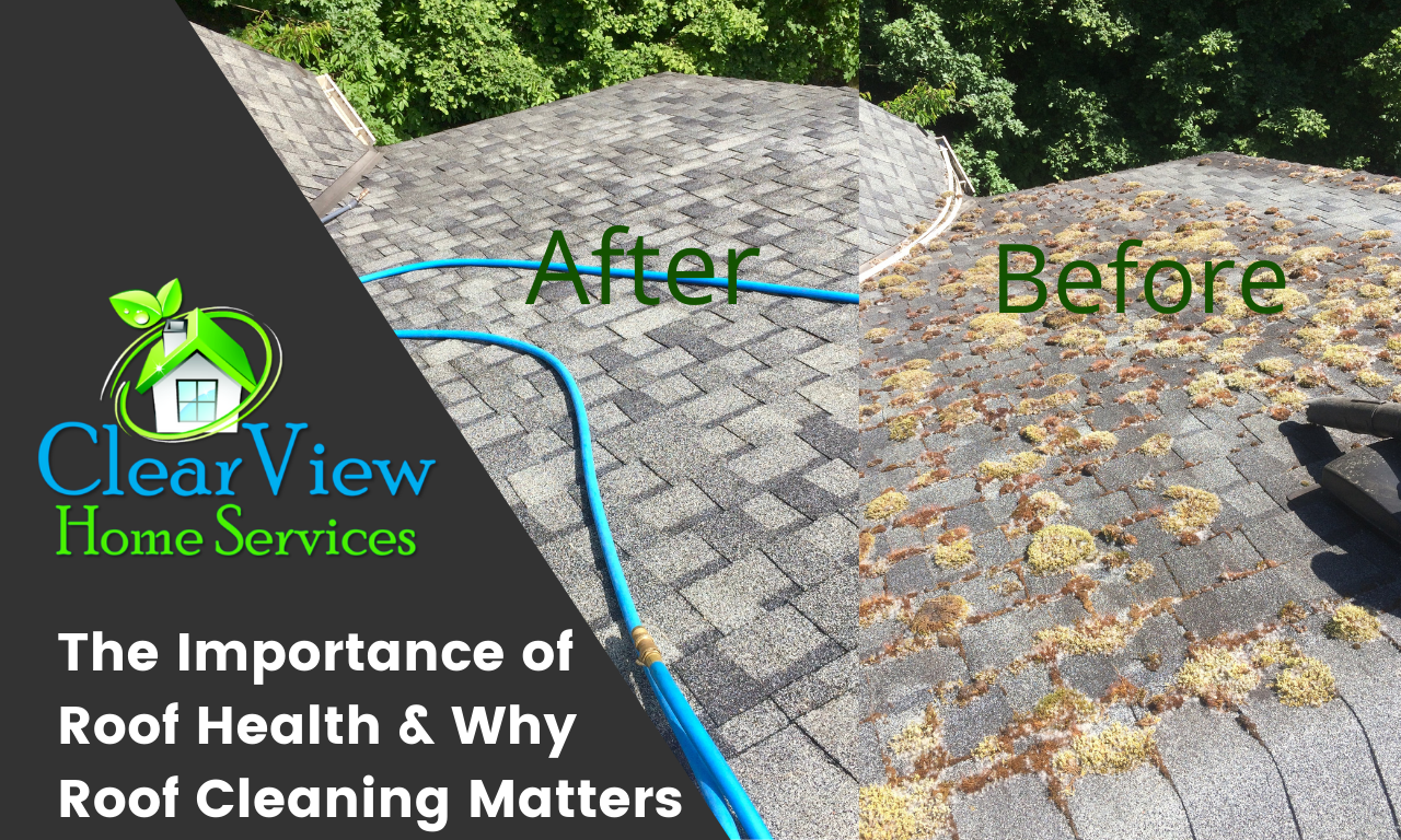 Roof Moss Removal Company Bellevue Wa