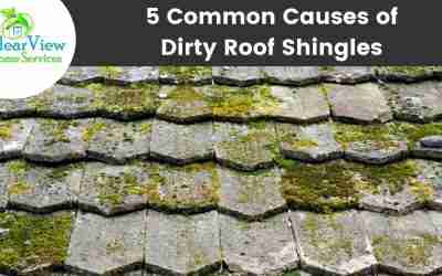 5 Common Causes Of Dirty Roof Shingles