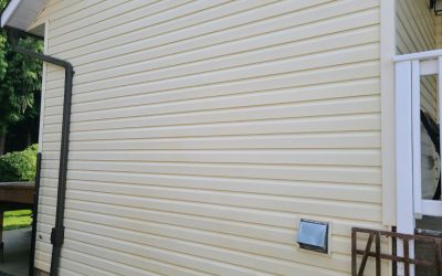 Soft Washing: The Gentle Giant Of Exterior Home Cleaning!