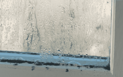 How To Clean Mould From Windows: Safe & Effective Tips