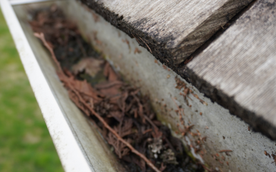 Gutter Cleaning Cost: What You Need To Know