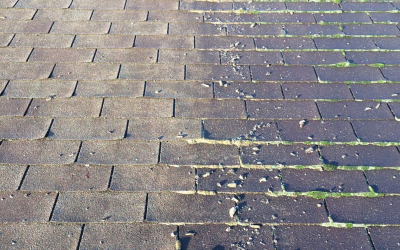 House Washer Services: Why Professional Pressure Washing Is Essential For Your Home