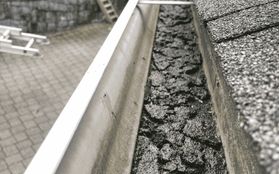 The Importance Of Rain Gutter Cleaning Services For Your Home