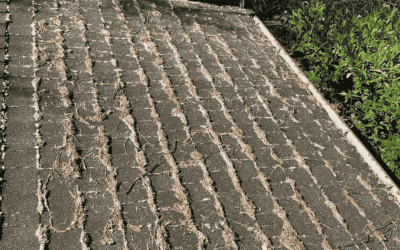 Roof Gutter Cleaning: Why It’s Essential For Home Protection