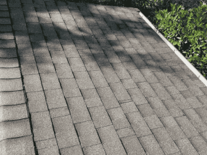 Roof Gutter Cleaning