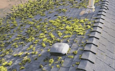 How Much Does An Exterior House Wash Cost?