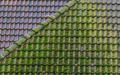 Moss On Roof? The #1 Best Method For Safe And Effective Roof Cleaning