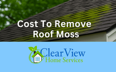 Roof Moss Removal Cost In Bc | #1 Expert Guide & Prices
